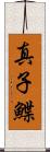 真子鰈 Scroll