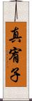 真宥子 Scroll