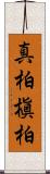 真柏 Scroll
