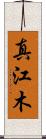 真江木 Scroll