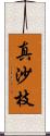 真沙枝 Scroll