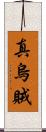 真烏賊 Scroll