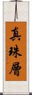 真珠層 Scroll