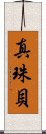 真珠貝 Scroll