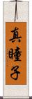 真瞳子 Scroll