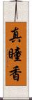 真瞳香 Scroll