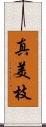 真美枝 Scroll