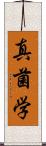 真菌学 Scroll