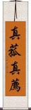 真菰 Scroll