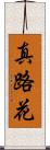 真路花 Scroll