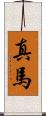 真馬 Scroll