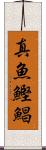 真魚鰹 Scroll