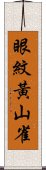 眼紋黃山雀 Scroll