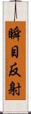 瞬目反射 Scroll