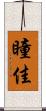 瞳佳 Scroll