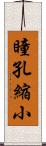 瞳孔縮小 Scroll