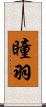 瞳羽 Scroll