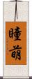瞳萌 Scroll