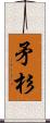 矛杉 Scroll