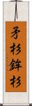 矛杉 Scroll