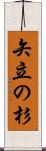 矢立の杉 Scroll