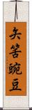 矢筈豌豆 Scroll