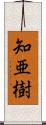 知亜樹 Scroll