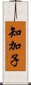 知加子 Scroll