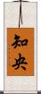 知央 Scroll