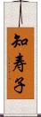 知寿子 Scroll