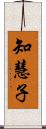 知慧子 Scroll