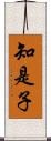 知是子 Scroll