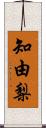 知由梨 Scroll