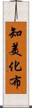 知美化布 Scroll
