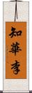 知華李 Scroll