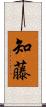 知藤 Scroll