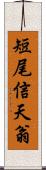 短尾信天翁 Scroll