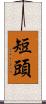 短頭 Scroll