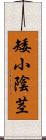 矮小陰茎 Scroll