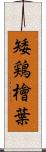 矮鶏檜葉 Scroll