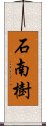 石南樹 Scroll