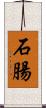 石腸 Scroll