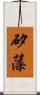 矽藻 Scroll