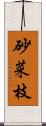 砂菜枝 Scroll