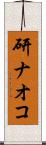 研ナオコ Scroll