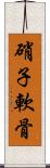 硝子軟骨 Scroll