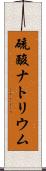 硫酸ナトリウム Scroll