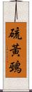 硫黃鵐 Scroll