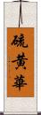 硫黄華 Scroll