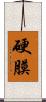 硬膜 Scroll